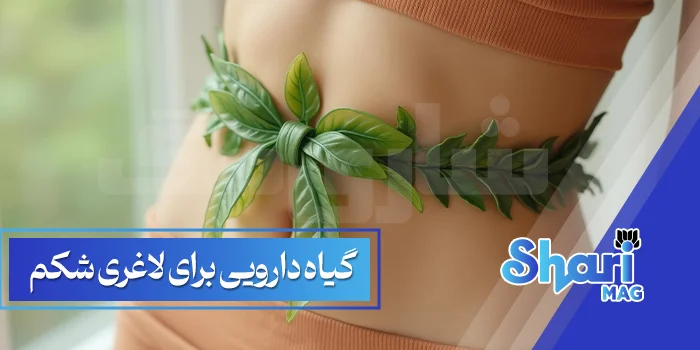 بهترین-گیاه-دارویی-برای-لاغری-شکم.