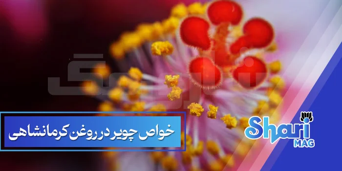 خواص چویر در روغن کرمانشاهی