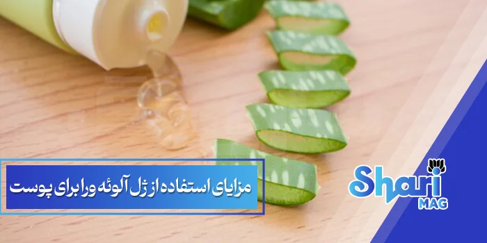 مزایای استفاده از ژل آلوئه ورا برای پوست