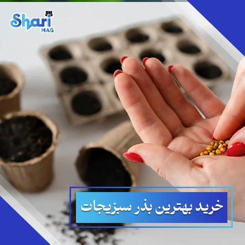 خرید-بهترین-بذر-سبزیجات